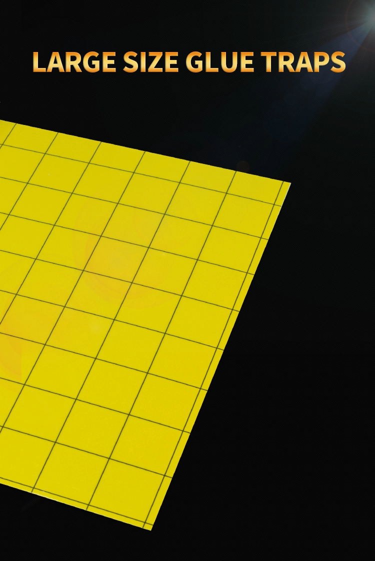 Hd52a27bcded94f77a9bb68ad8cac3f9aS_ 看图 王 .web